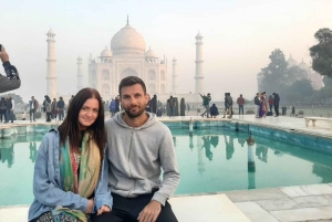 Taj, tigres et couleurs : Holi à Mathura et safari à Ranthambore.