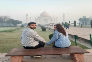 Taj, tigres et couleurs : Holi à Mathura et safari à Ranthambore.