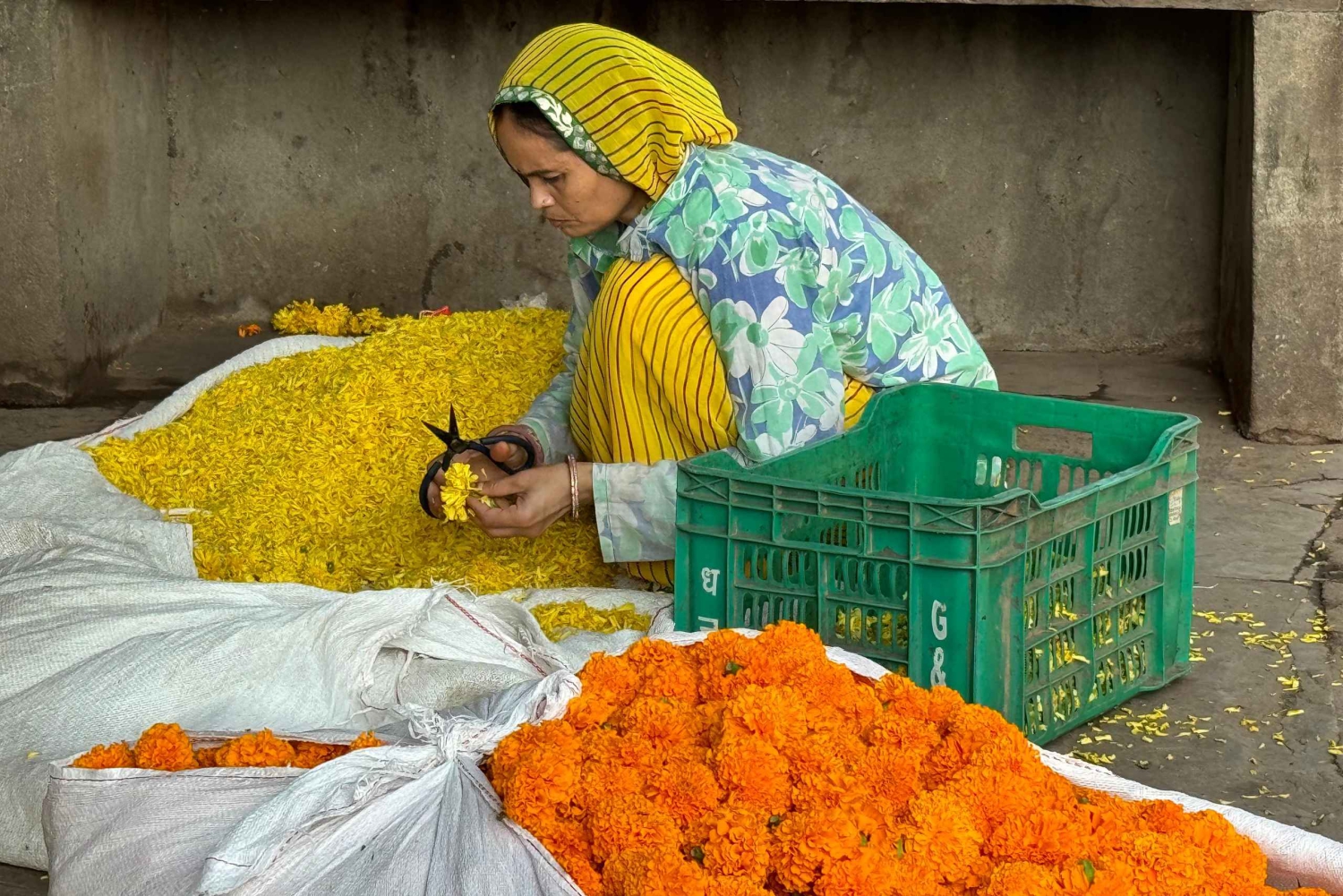 Geniet van de schoonheid van een vroege ochtend met verse bloemen