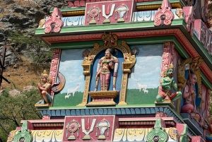 Tour dei templi di Jaipur con giro in funivia