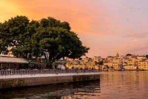 La Experiencia Completa de Udaipur: Un tour de día completo