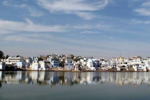 Die Seele von Pushkar: Tempel, See und lokale Küche an einem Tag