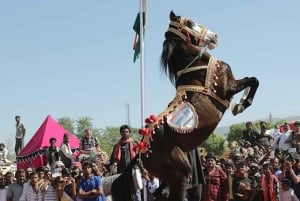 Die Seele von Pushkar: Tempel, See und lokale Küche an einem Tag