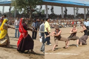 Die Seele von Pushkar: Tempel, See und lokale Küche an einem Tag