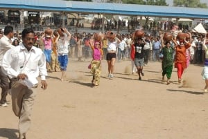 Die Seele von Pushkar: Tempel, See und lokale Küche an einem Tag