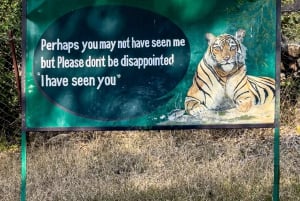 Tigermaraton: Fototur med store kattedyr i villmarken