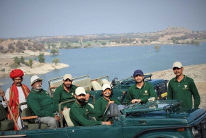 Udaipur: 2-Day Jawai Leopard Safari & Ranakpur Tour