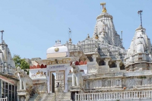 Udaipur: 2-Day Private Tour