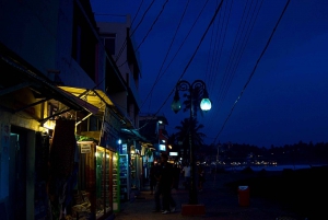 Udaipur: 3-Hour Pub Crawl