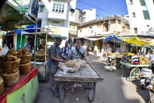 Udaipur: Wycieczka do Muzeum Pałacu Miejskiego i rejs statkiem po jeziorze Pichola