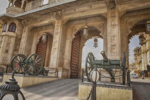 Udaipur: Bypalasset i Udaipur Tur med guide