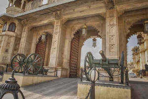 Udaipur: Stadspalatset i Udaipur rundtur med guide