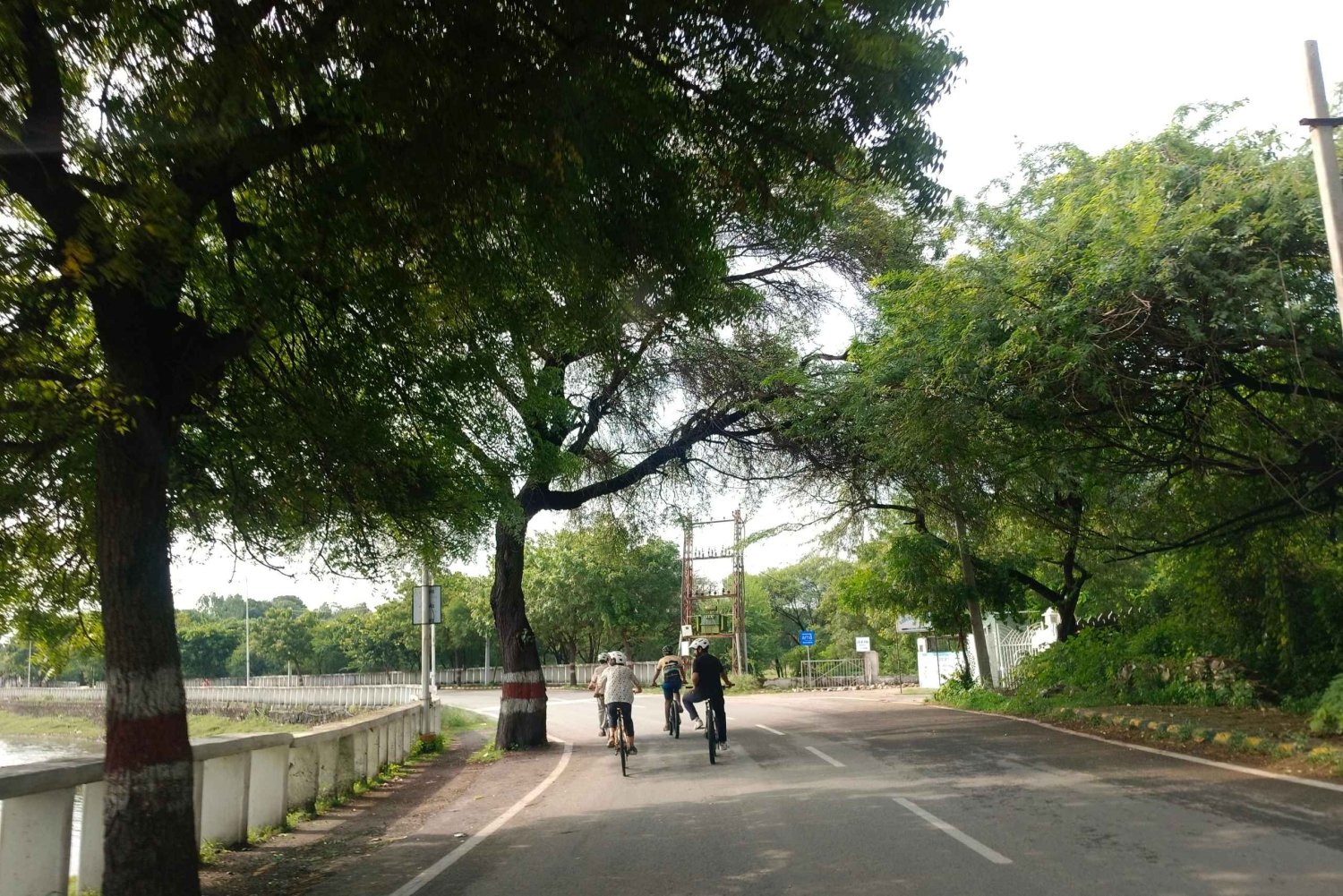 Udaipur: Countryside E-Bike Tour with Refreshments