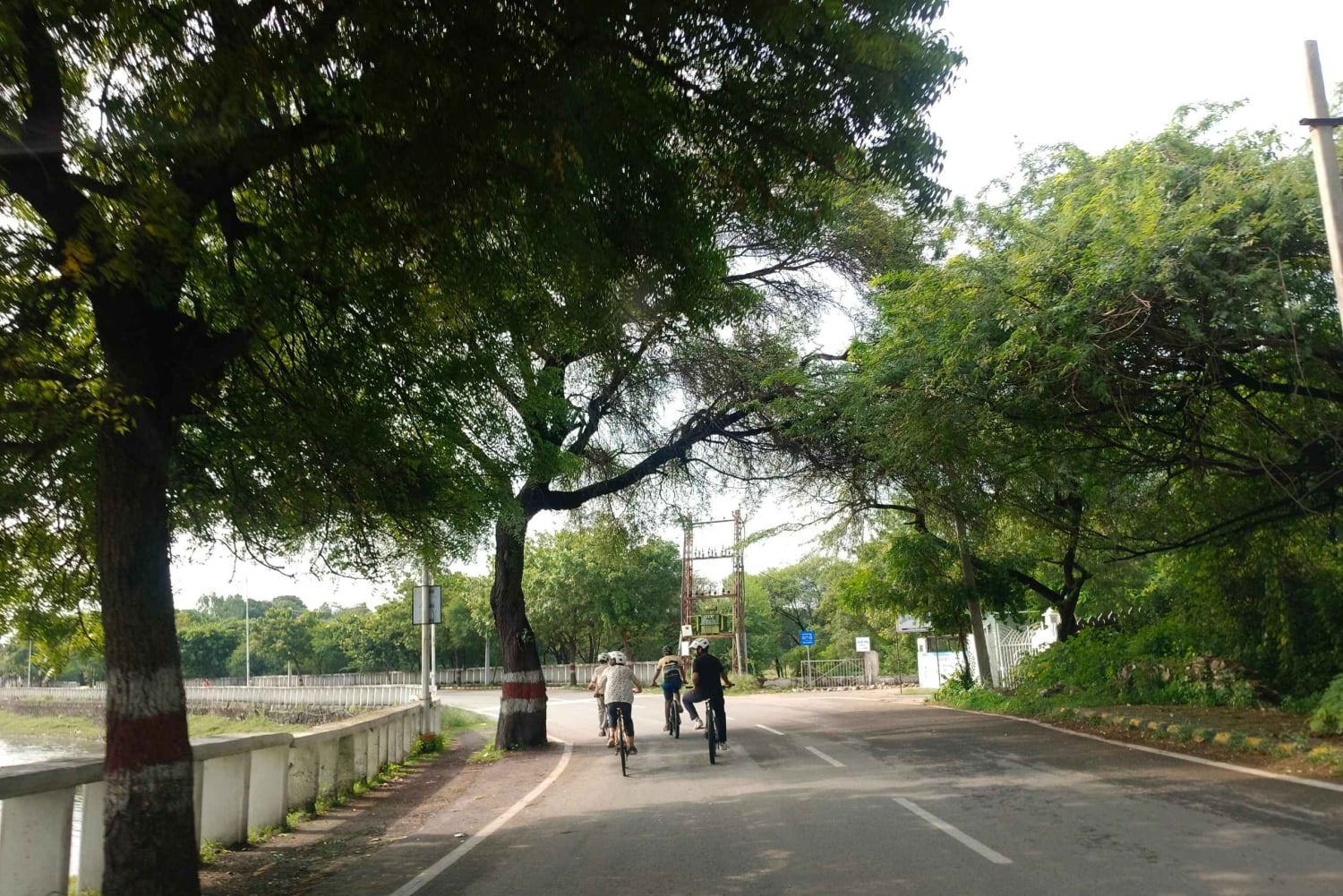 Udaipur: Countryside E-Bike Tour with Refreshments