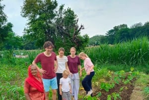 Udaipur: Countryside E-Bike Tour with Refreshments