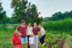 Udaipur: Countryside E-Bike Tour with Refreshments