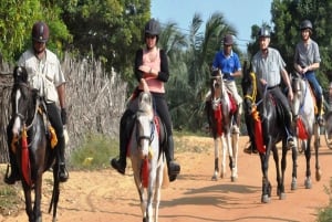 Udaipur: Evening Horse Riding Experience in the Countryside