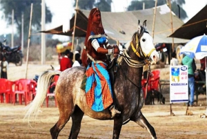 Udaipur: Excursión nocturna a caballo por la campiña