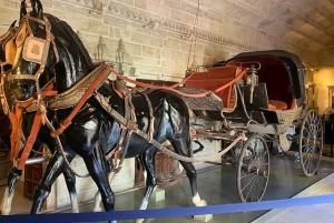 Udaipur: tour guiado de un día por la ciudad