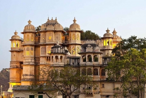 Udaipur : Tour de la ciudad privado de día completo con guía y coche