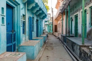 Udaipur: Heritage & Culture Walking Tour with Guide