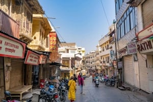 Udaipur: Heritage & Culture Walking Tour with Guide
