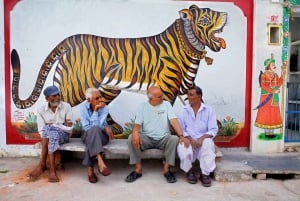 Udaipur: Heritage & Culture Walking Tour with Guide