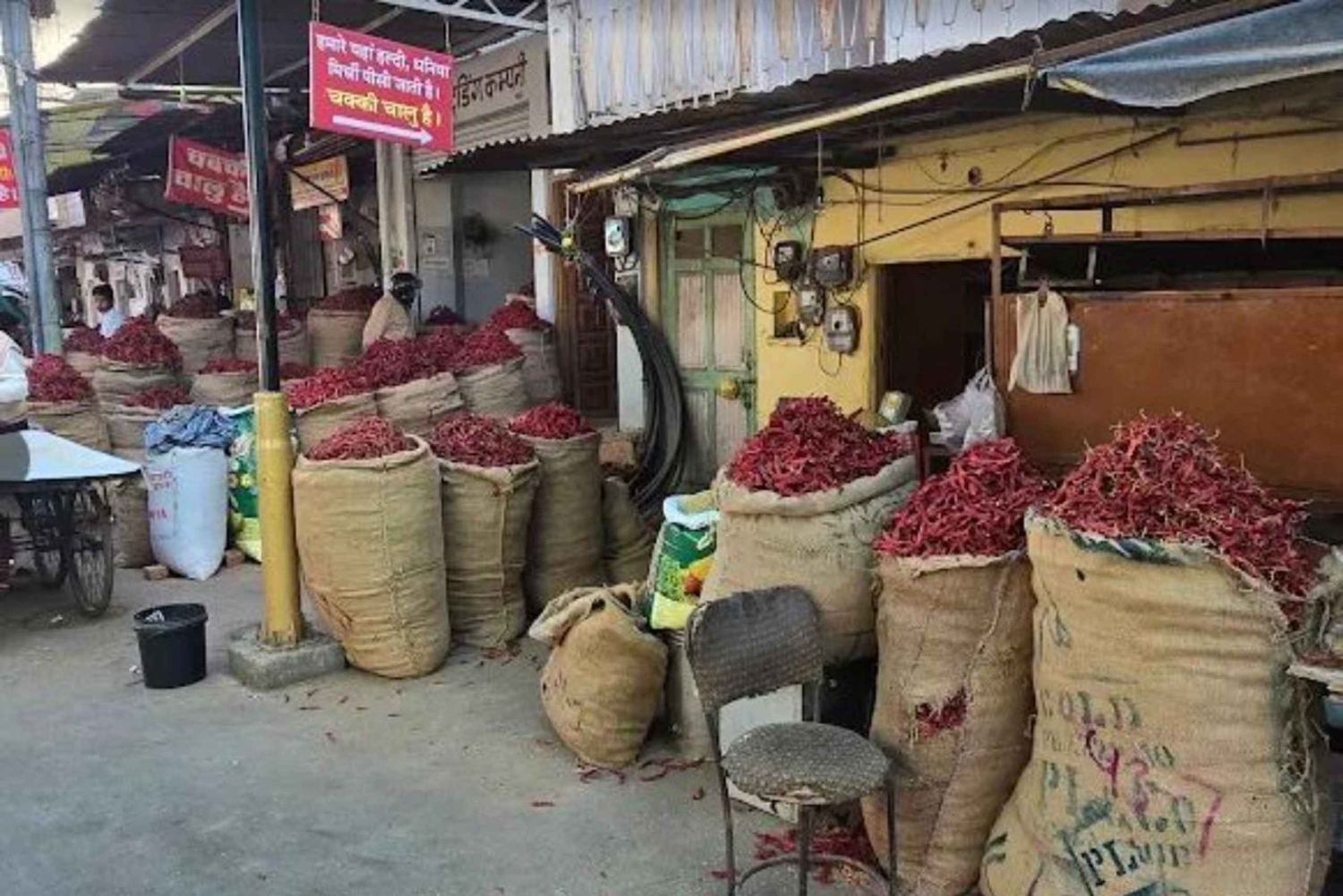 Udaipur: Rundgang zu versteckten Highlights mit einem ortskundigen Guide