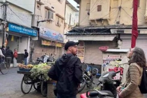 Udaipur: Rundgang zu versteckten Highlights mit einem ortskundigen Guide