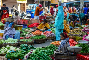 Udaipur Hidden Shopping Tour with Local Artisans