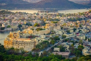 Udaipur : excursion d'une journée au Jaal Mahal et au lac Jaisamand avec guide