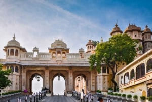 Udaipur : excursion d'une journée au Jaal Mahal et au lac Jaisamand avec guide