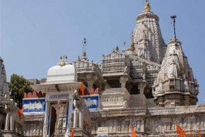 Udaipur: Private City Tour and Jagdish Temple
