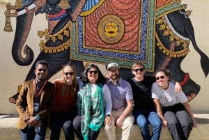 Udaipur: Private City Tour with Multilingual Guide