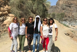 Udaipur: Private City Tour with Multilingual Guide