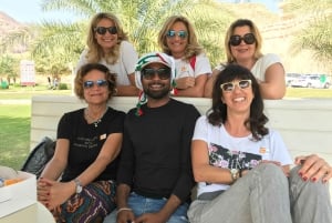 Udaipur: Private City Tour with Multilingual Guide