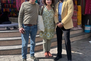 Udaipur: Private City Tour with Multilingual Guide