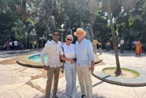 Udaipur: Private City Tour with Multilingual Guide