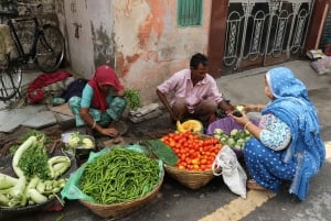 Udaipur: Private Half-Day Tour by Tuk-Tuk or Car