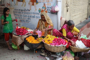 Udaipur: Private Half-Day Tour by Tuk-Tuk or Car