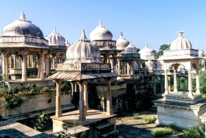 Udaipur: Private Half-Day Tour by Tuk-Tuk or Car