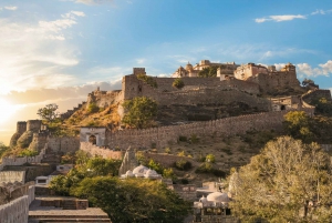 Udaipur: Private Tour of Kumbhalgarh and Ranakpur with Lunch