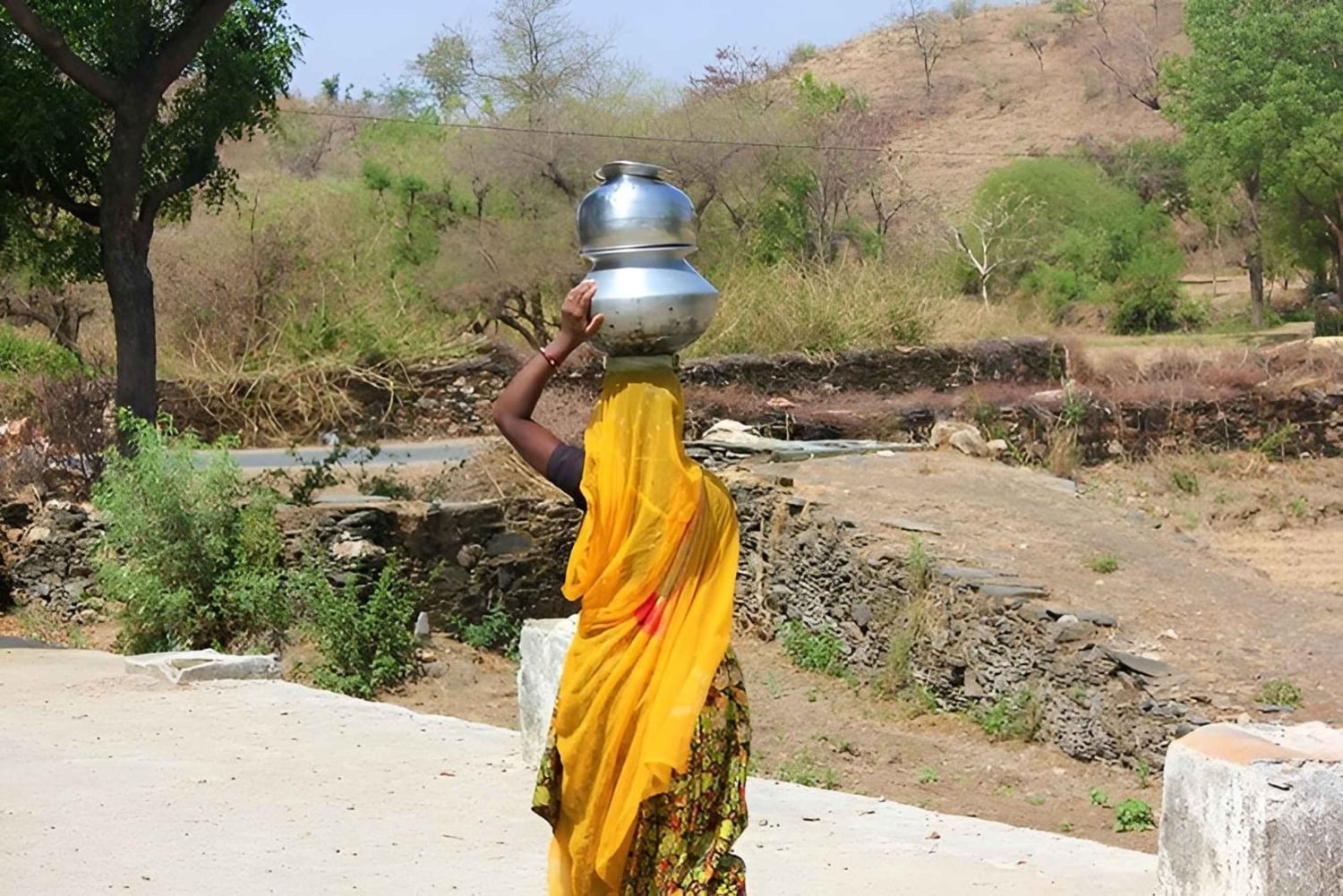 Udaipur : visite privée d'un village en tuk-tuk ou en voiture