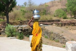 Udaipur: passeio privado pela aldeia de tuk-tuk ou carro