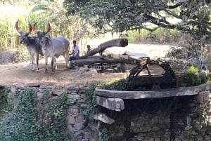 Udaipur: passeio privado pela aldeia de tuk-tuk ou carro