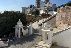 Udaipur: Sajjangarh Monsoon Palace Dagtrip met Tickets