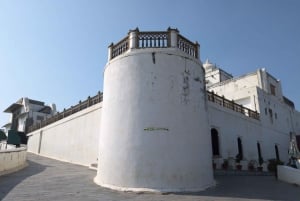 Udaipur: Sajjangarh Monsoon Palace Dagtrip met Tickets