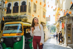 ウダイプル：トゥクトゥクまたは運転手付きの車で観光ツアーをご案内します