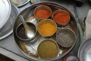 Udaipur: Traditional Cooking Experience at Local Family
