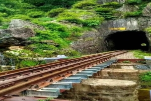 Udaipur: przejażdżka pociągiem Valley Queen Heritage